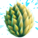Durian Ejderha — yumurta