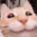 3_