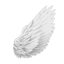 angel_wing