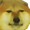 cheemsweird