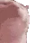 catrave