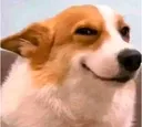 politesmile_dawg