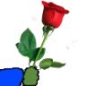 exquisite_rose4u