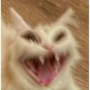 laughing_cat