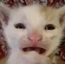 Uh