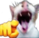 laugh_cat