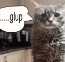 gulp gulp