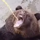 020f327504553e9512203a11506f5ded