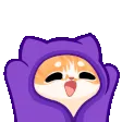 cat_blankie_01
