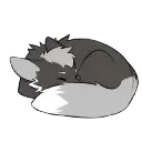 only_a_fox_zorro_de_kizma_11