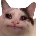 BingusCry