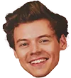 harrystyles