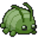 plumpabug