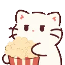 kpopcorncat