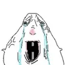hamp_crying