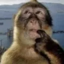 monkeyuh