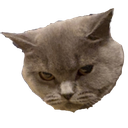 Micky Discord emoji