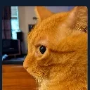 side_eye