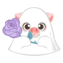 pigkaboo