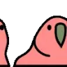 congaparrot congaparrot
