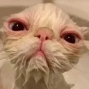 olalolakediangry