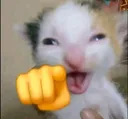 cathaha