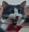 poppyscrem Discord emoji