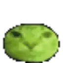peacat