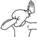 DI_w_facepalm_DNS