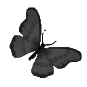 DI_w_blackbutterfly_DNS
