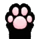 DI_w_blackpaw_DNS