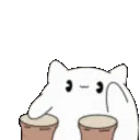 DI_w_catbongo_DNS