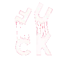 DI_w_FUCK_DNS