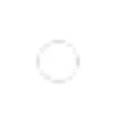 DI_w_dot_DNS