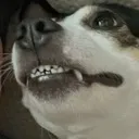 evilsmirk
