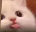blep