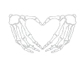 skeleton_heart