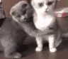 hug