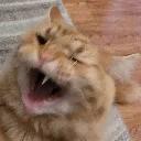 winkwonk