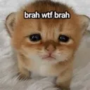 BrahWtfBrah