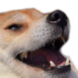 doggokek custom emote - Gaming Grid