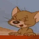 jerrynhinkia jerrynhinkia