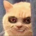 i_