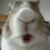 54853bunnychew animated Discord emote - Lovescape