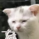 su