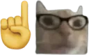 catnerd