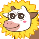 sunflower sunflower