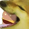 rightdogeborg