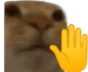 Halt