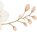 :flower_emoji_3: